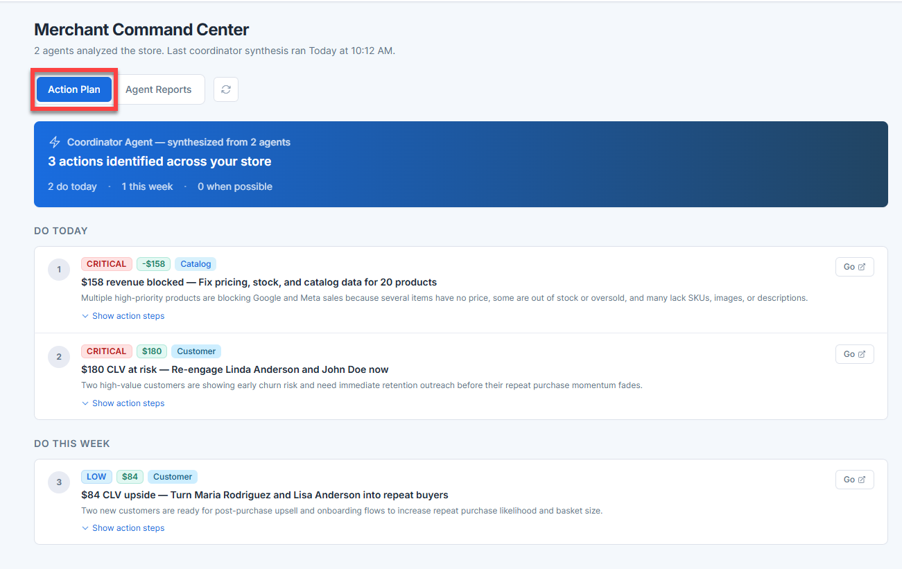 BH AI Store Insights - Action Plan Tab