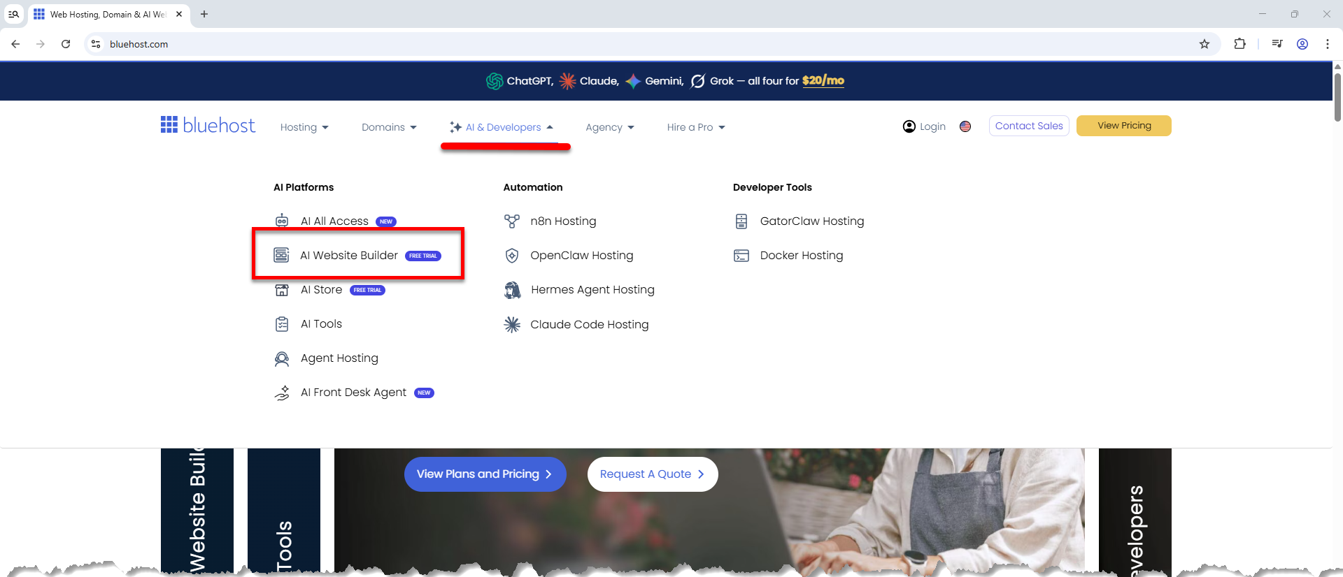 AI & Developers tab - AI Website Builder