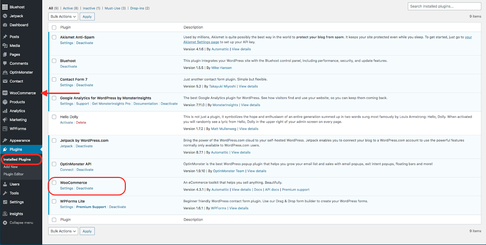 WordPress - Plugins Page