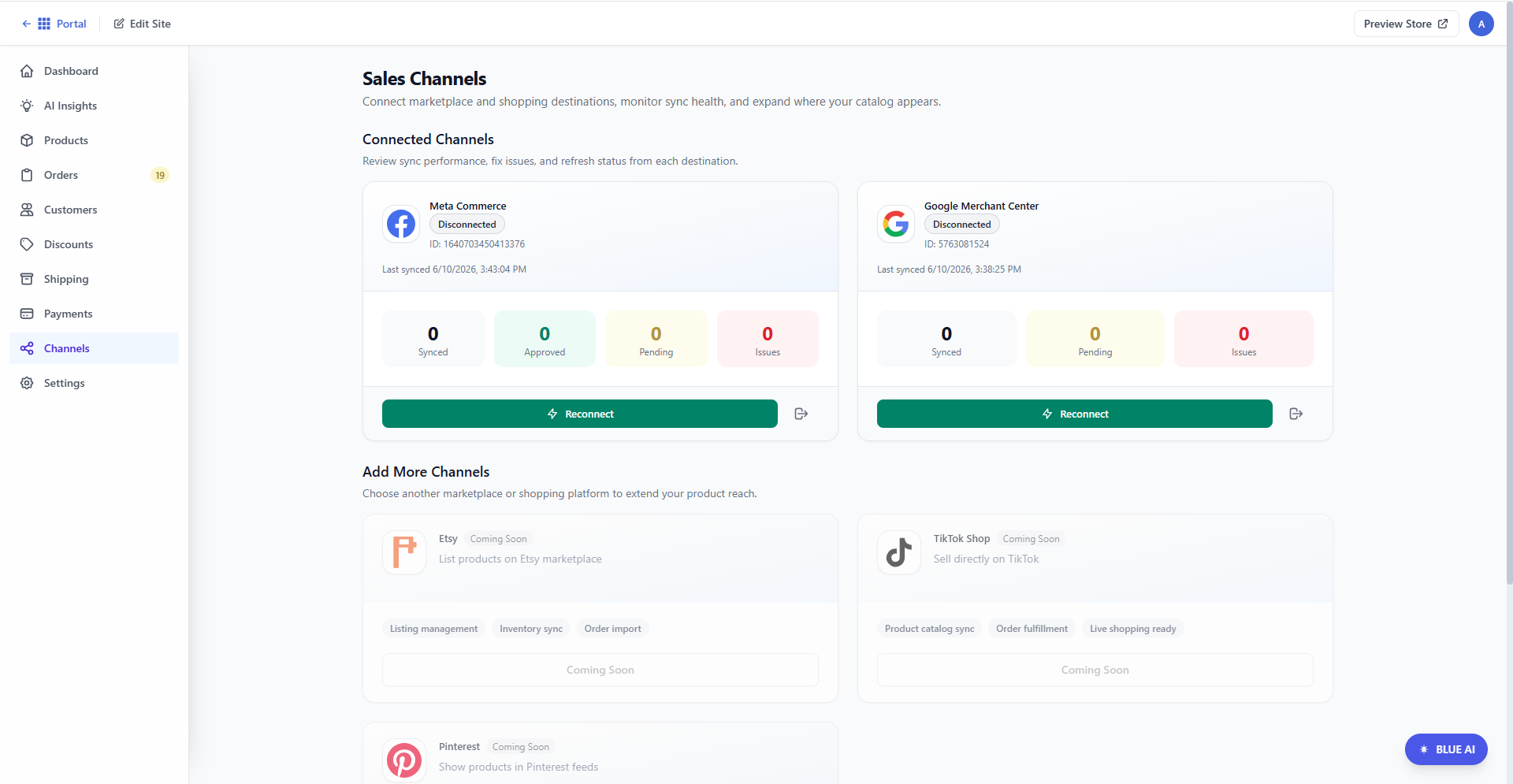 Bluehost AI Store - Channels tab