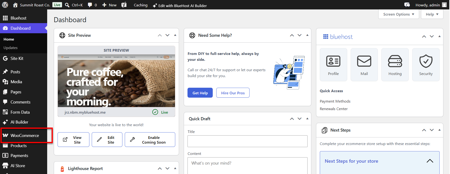 AI Store - WordPress dashboard - WooCommerce