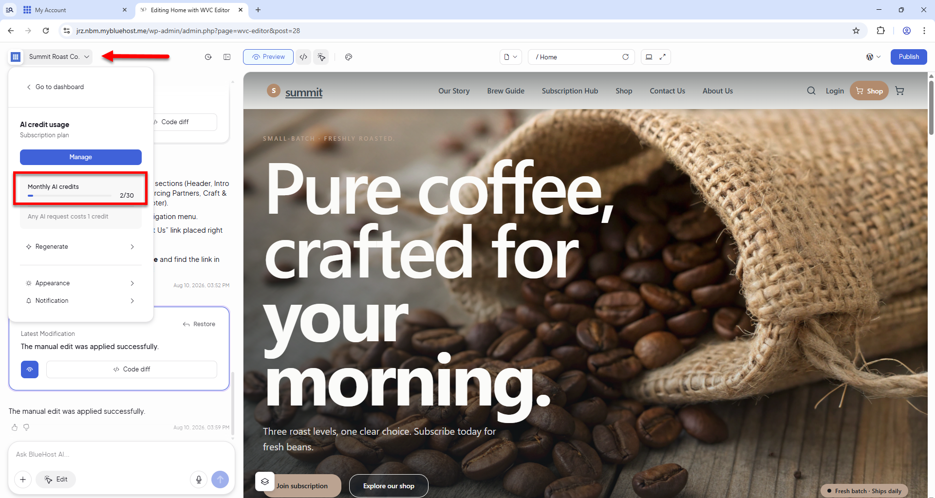 AI Store Editor - Monthly AI Credits
