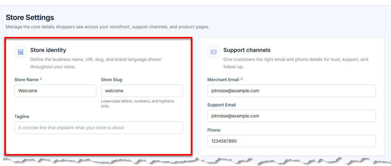 AI Store - Settings tab - Store Identity