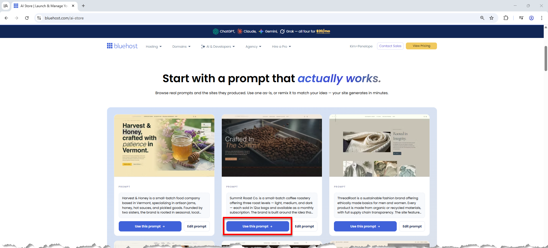 AI Store - Use this prompt