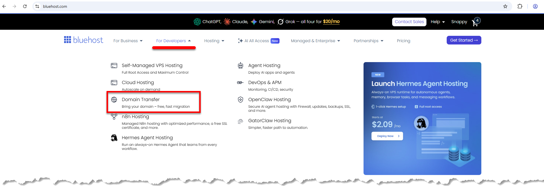 Bluehost website - For Developers tab - Domain Transfer