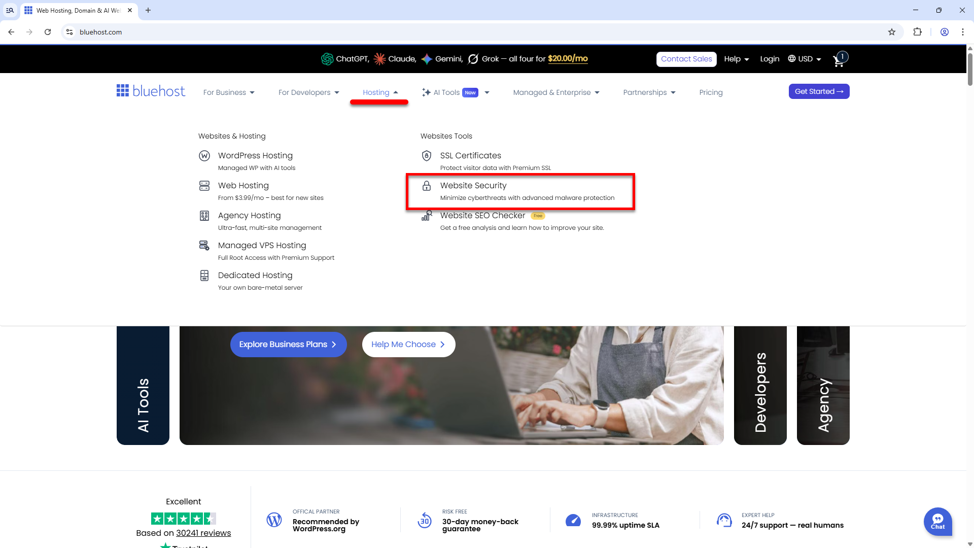 Bluehost.com - Hosting tab - Website Security