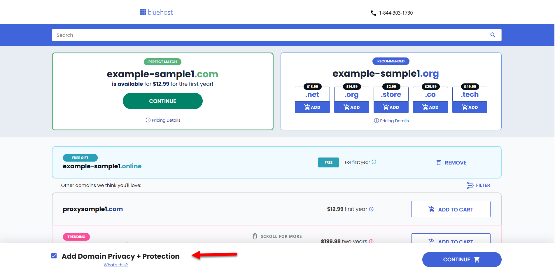 Register a domain - Domain is available - Add Domain Privacy