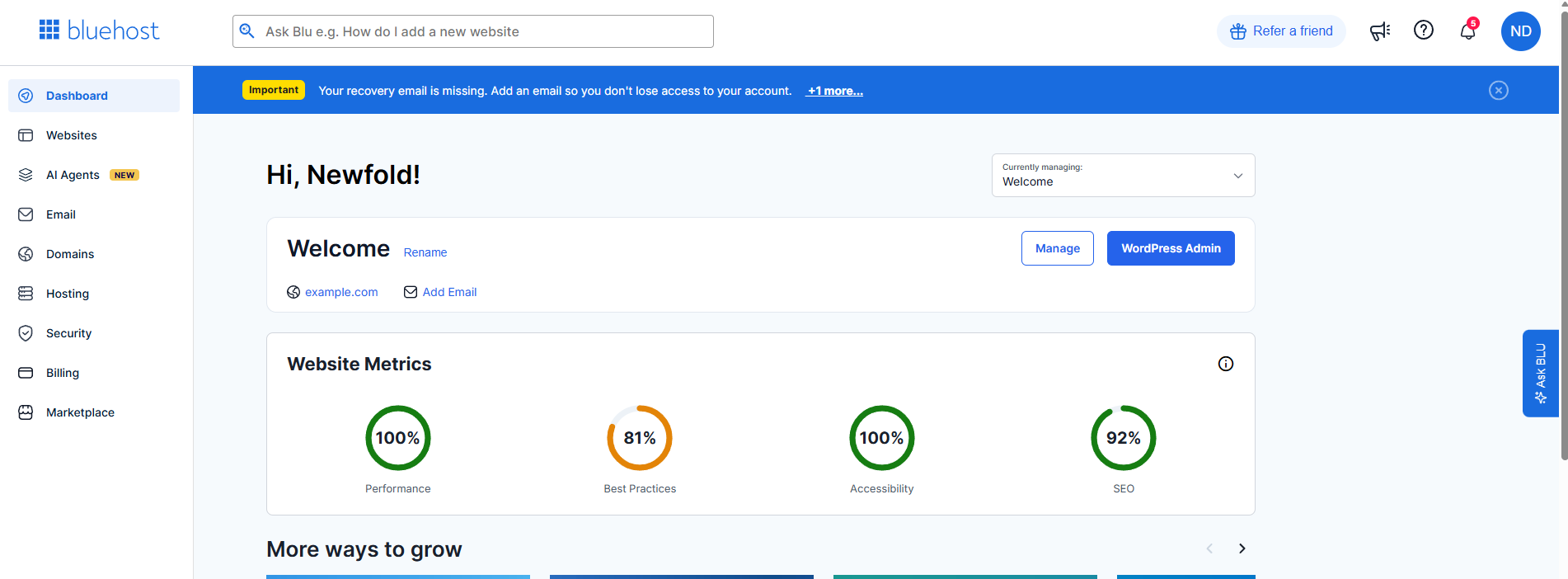 Bluehost Portal - Dashboard tab - Domains, Websites, Hosting Storage & Emails