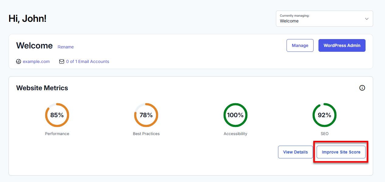 Website Metrics - View Details - Improve Site Score