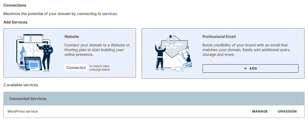 Domains Overview tab  - Connections