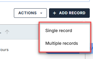 Domains tab - DNS tab - + Add Record button Options