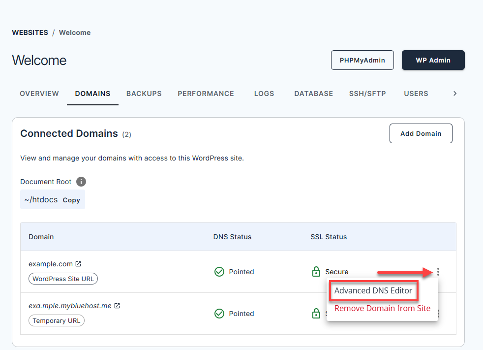 Cloud Hosting Advanced DNS Editor dropdown