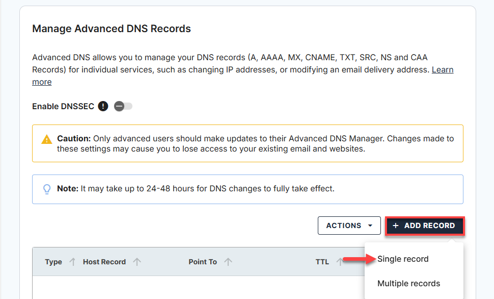 Domains tab - DNS tab Singele record