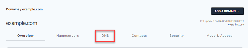 DNS Tab