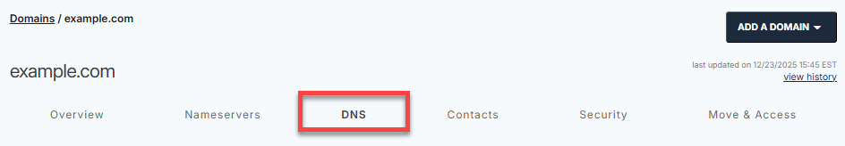 Domains tab - DNS tab
