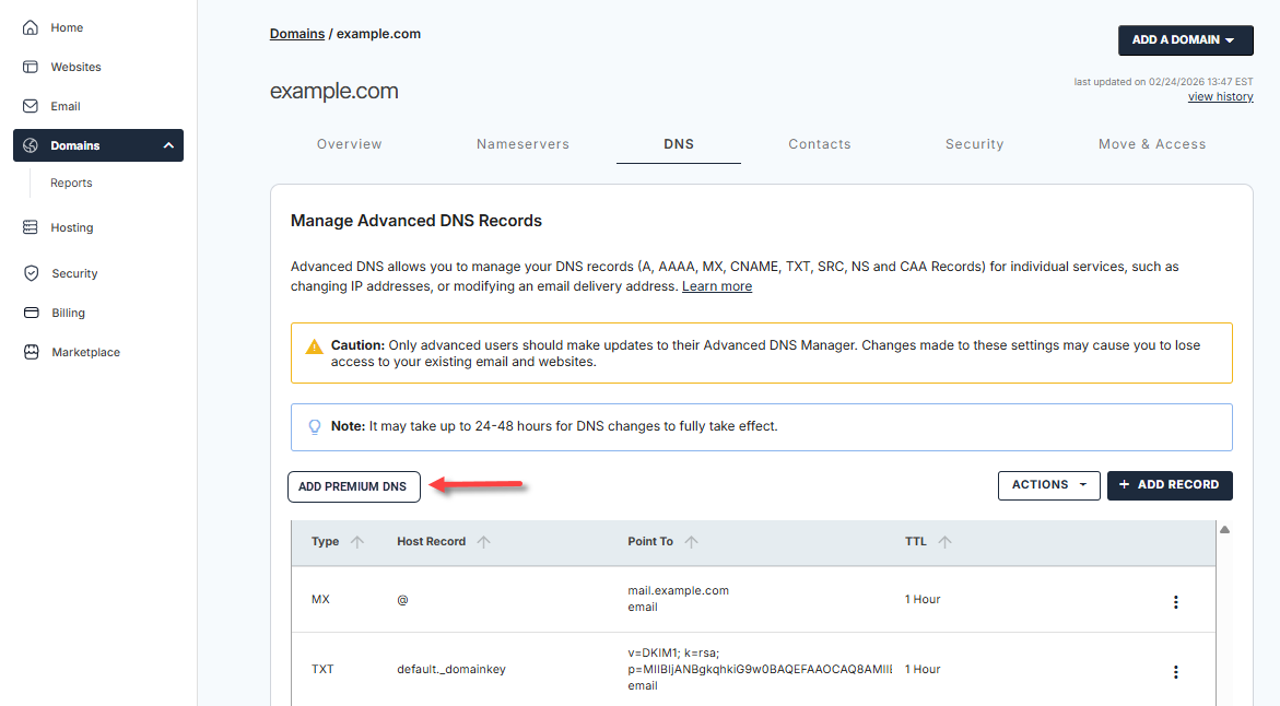 Domains tab - DNS tab - Add Premium DNS