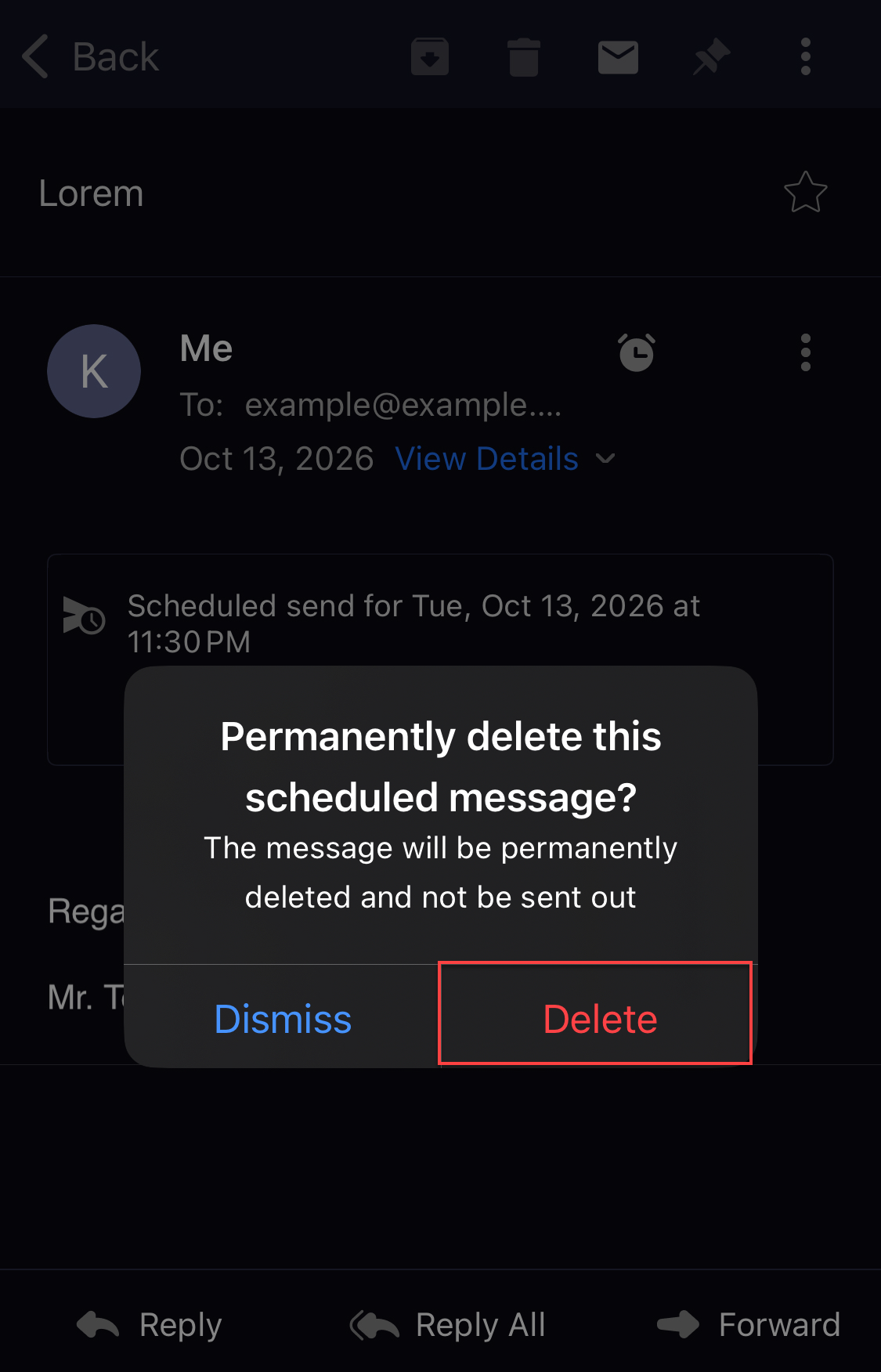 Professional Email iOS - Send Later - Delete