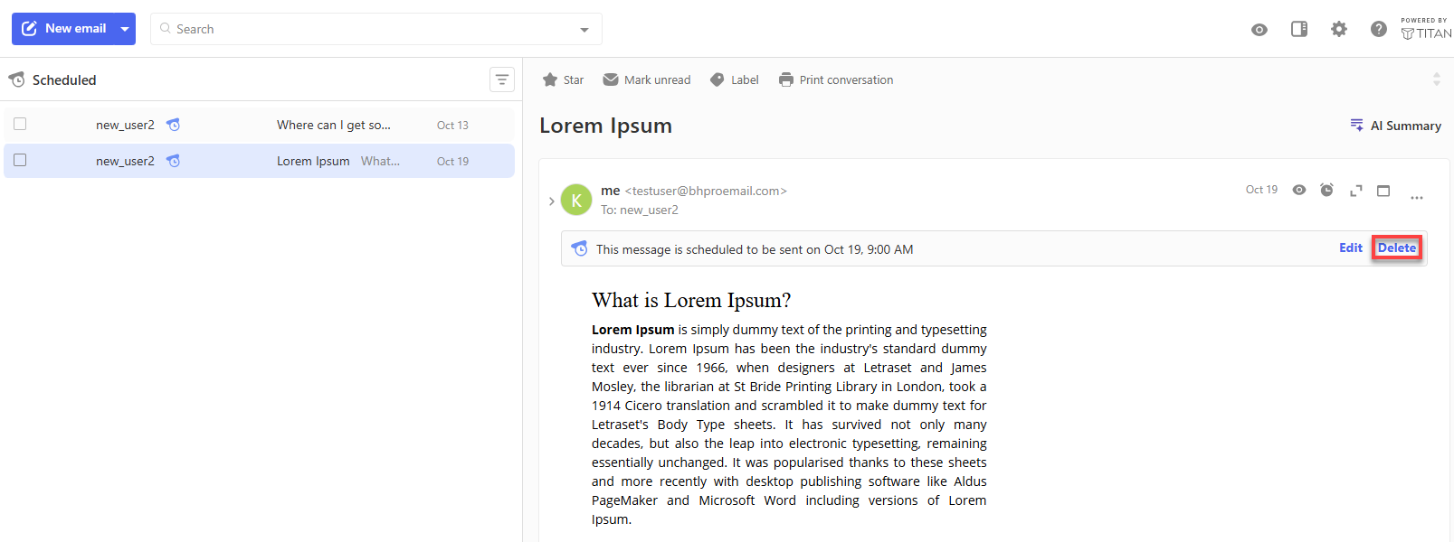Professional Email - Send Later - Delete