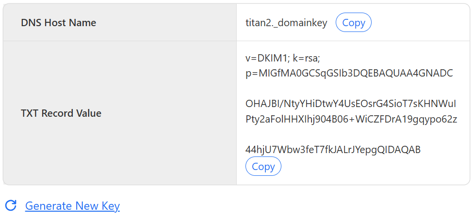DNS Host Name and TXT Record Value with Copy buttons