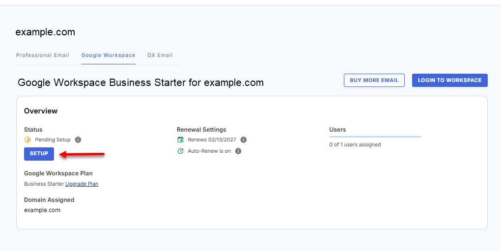 Bluehost Portal - Google Workspace tab - Setup