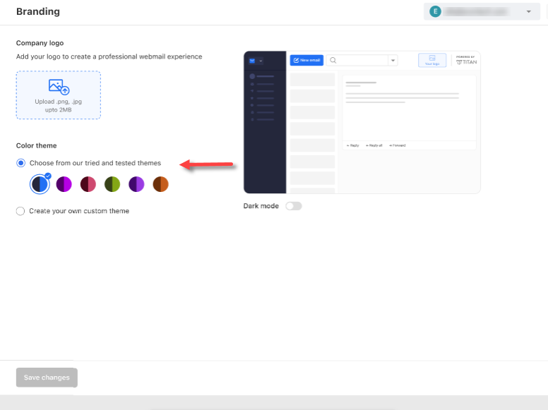 Professional Email - Branding - Color theme - Preset theme