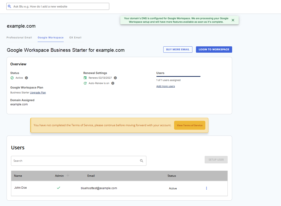 Bluehost Portal - Google Workspace tab - Banner