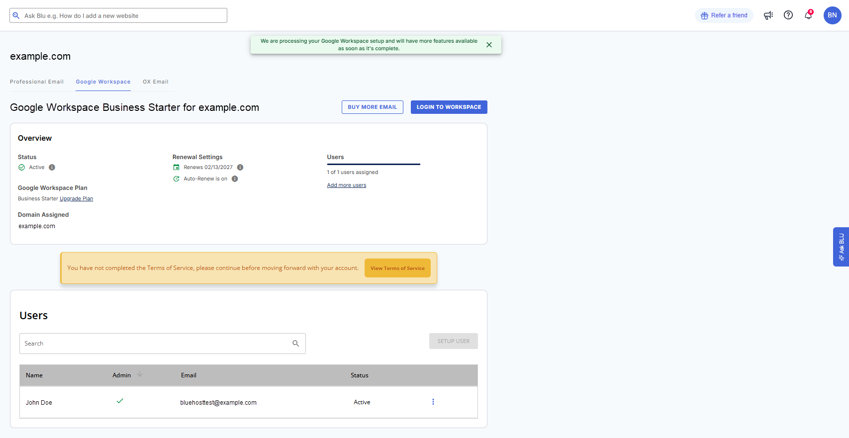 Bluehost Portal - Google Workspace tab - In progress