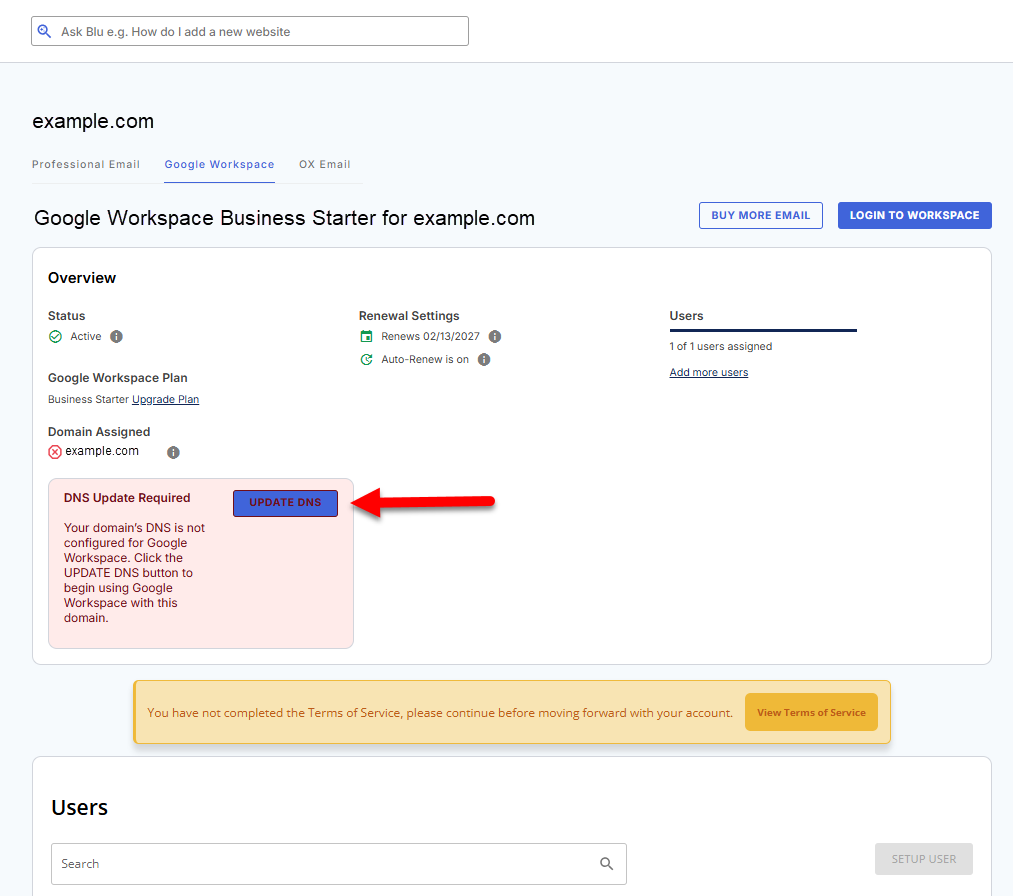 Bluehost Portal - Google Workspace tab - Update DNS