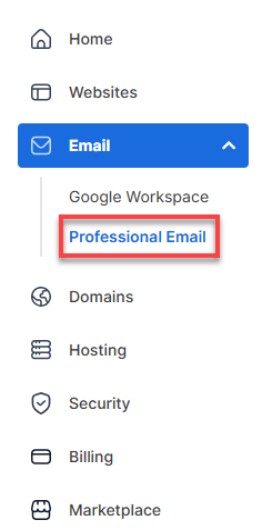 Professional Email Tab