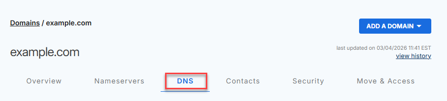 DNS tab on the domain page
