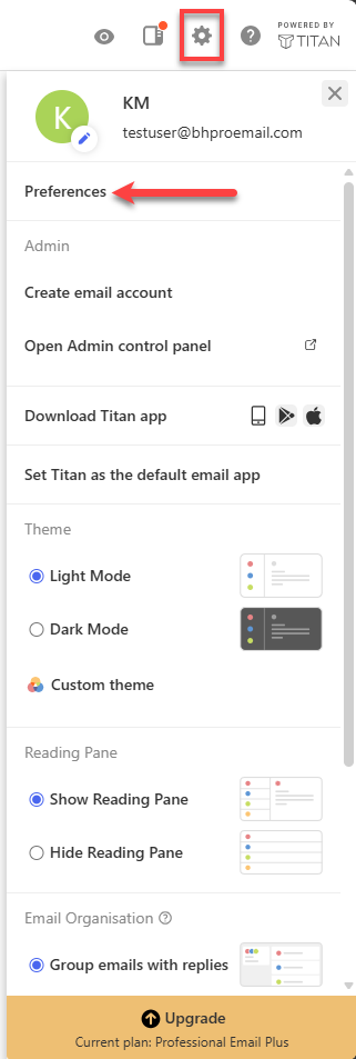 Professional Email - Settings - Preference