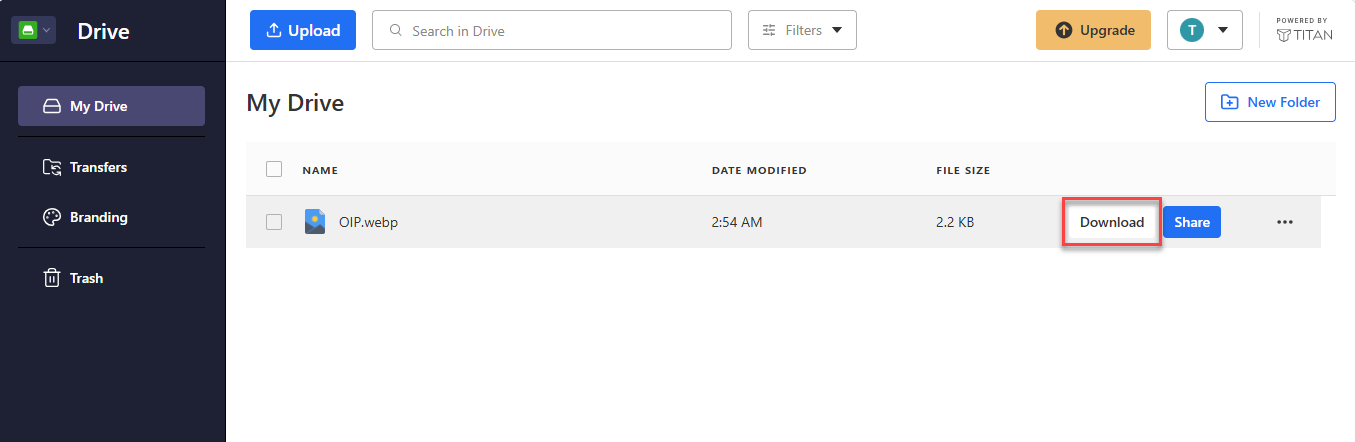 Titan Drive Download button shown when hovering over a file