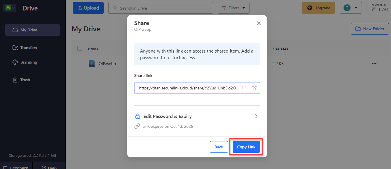 Titan Drive Share window with the share link