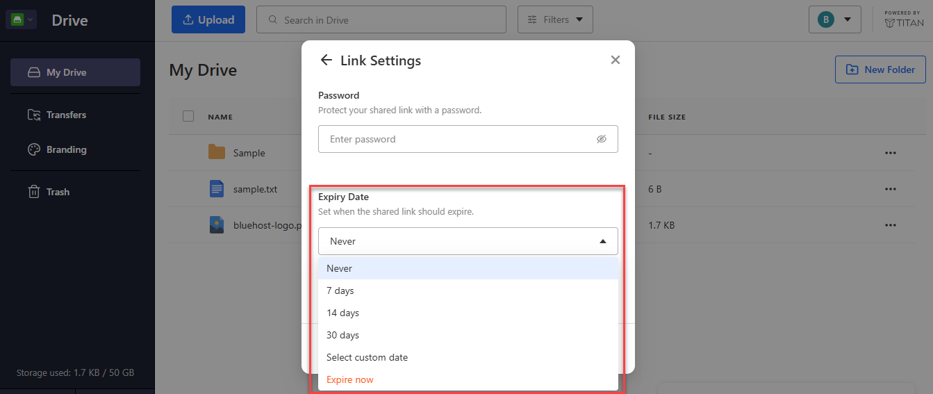 Titan Drive Link Settings window with the Expiry Date option