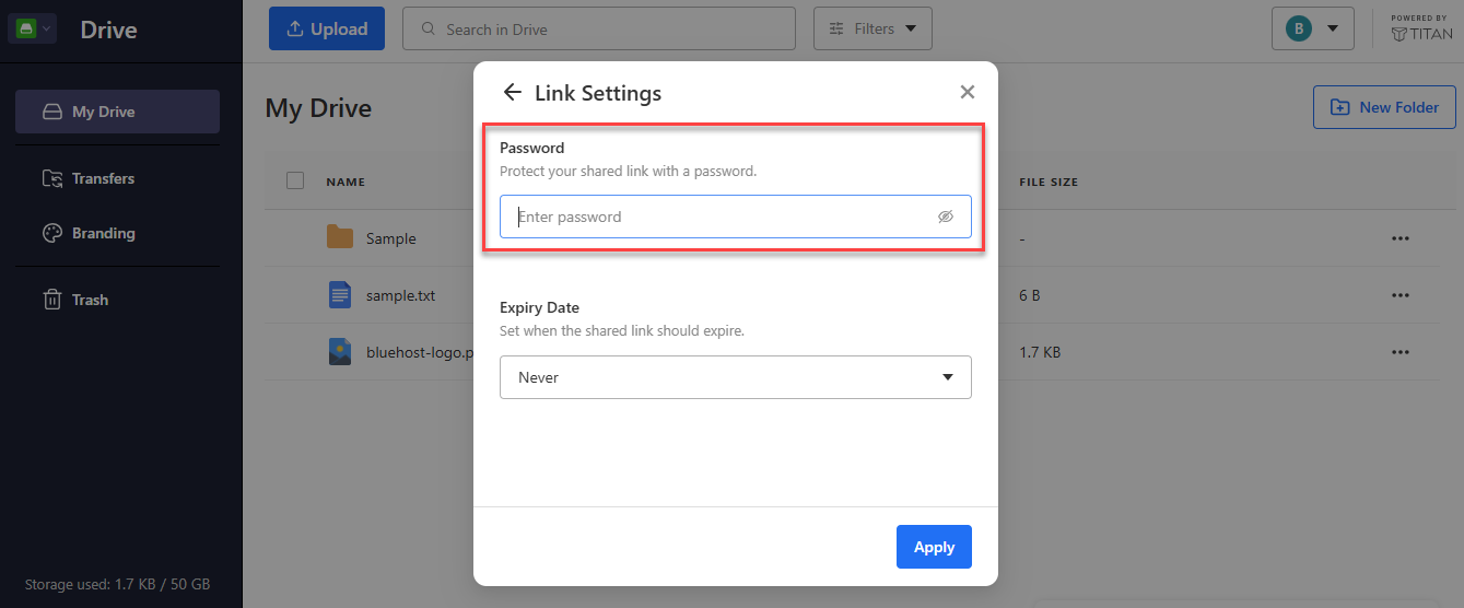 Titan Drive Link Settings window with the Password option