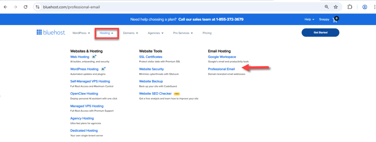 Bluehost website - Hosting tab - Professional Email