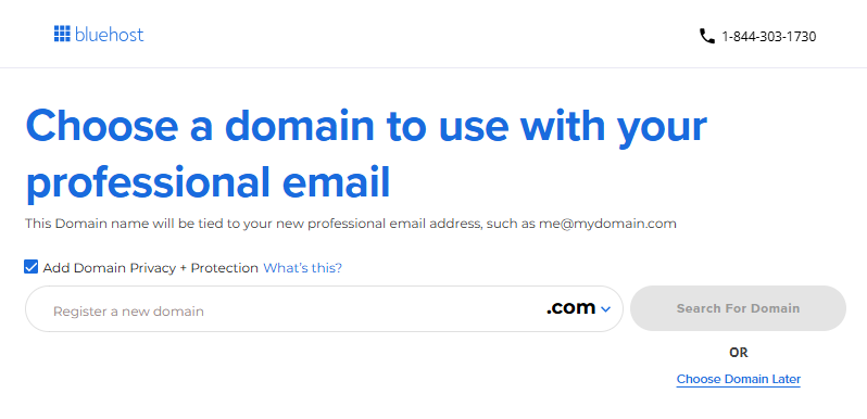 Professional Email - Choose a domain