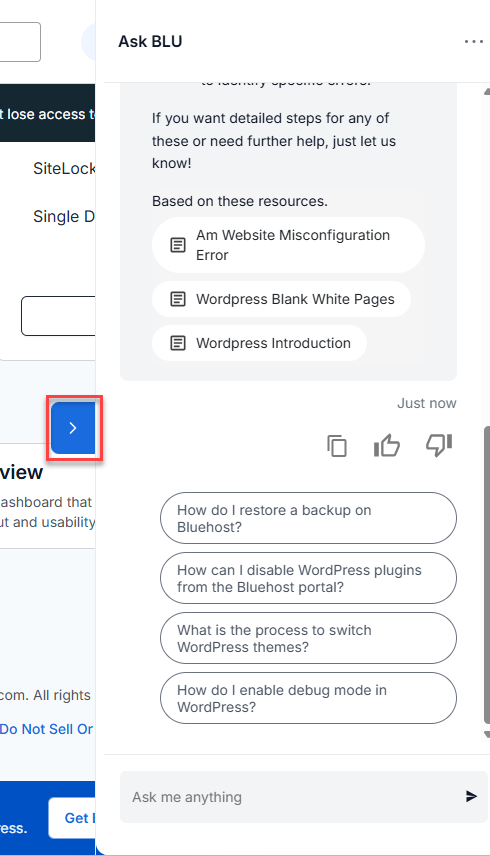 BH Account Manager Ask Blu - Minimize Chat