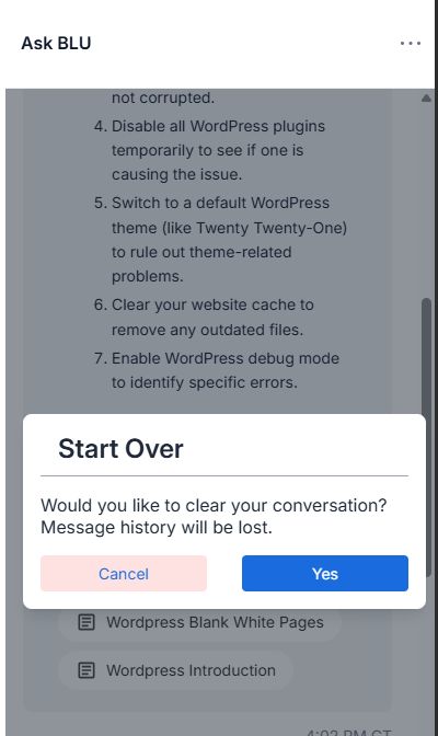 BH Account Manager Ask Blu - Reset Chat