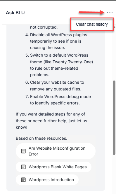 BH Account Manager Ask Blu - Reset Chat