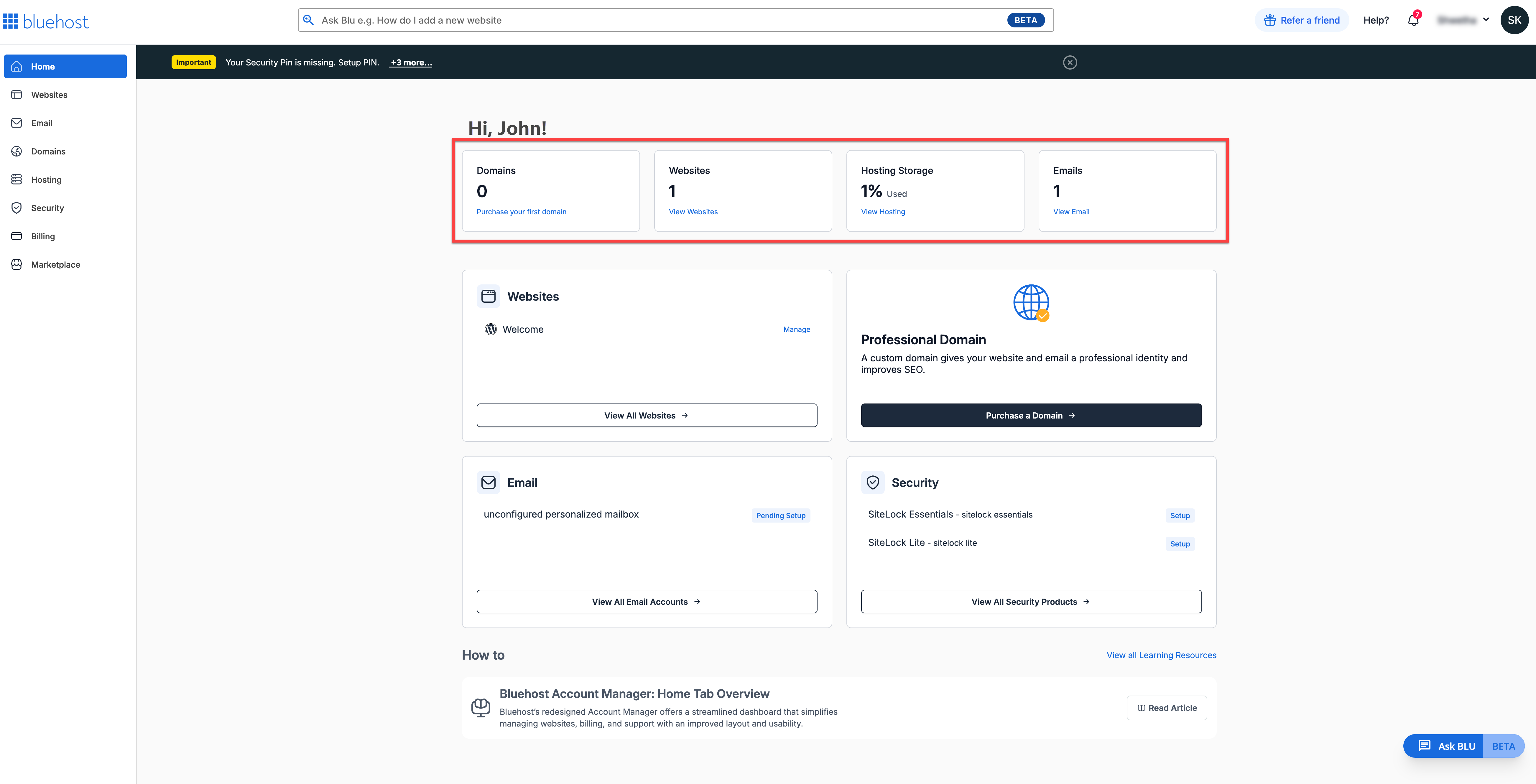Account Manager - Home tab - Domains, Websites, Hosting Storage & Emails