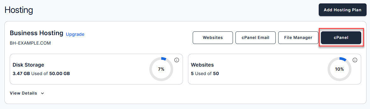 Hosting tab - Overview -cPanel button