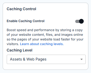 Performance tab - Caching Control