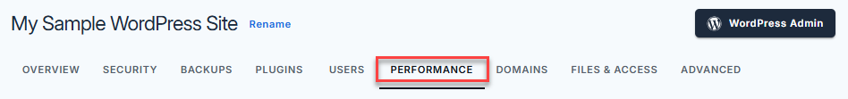 Account Manager - Performance tab
