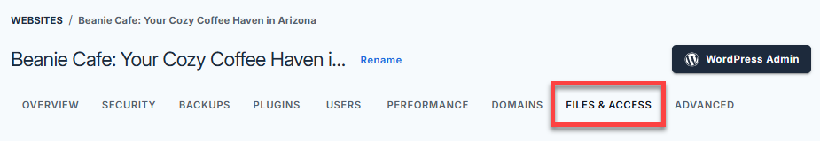 Account Manager - Files & Access tab