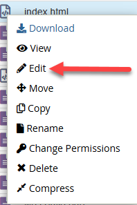 BH File Manager Edit File