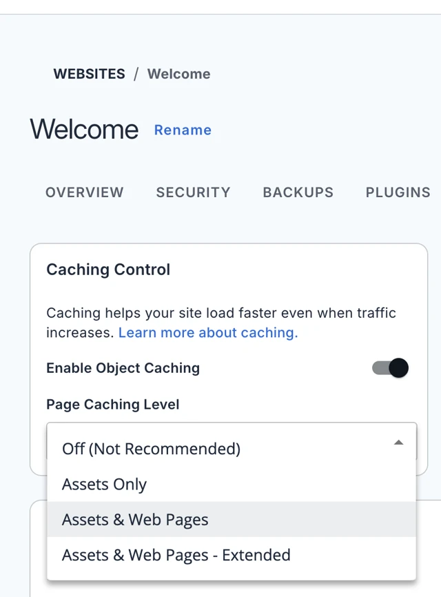 Performance Tab - Caching Control