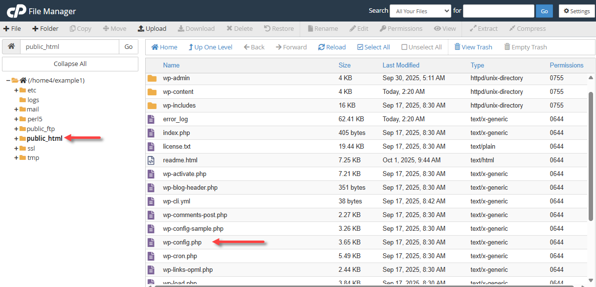 File Manager - cPanel - wp-config.php file