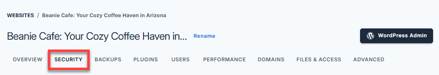 Websites tab - Security menu