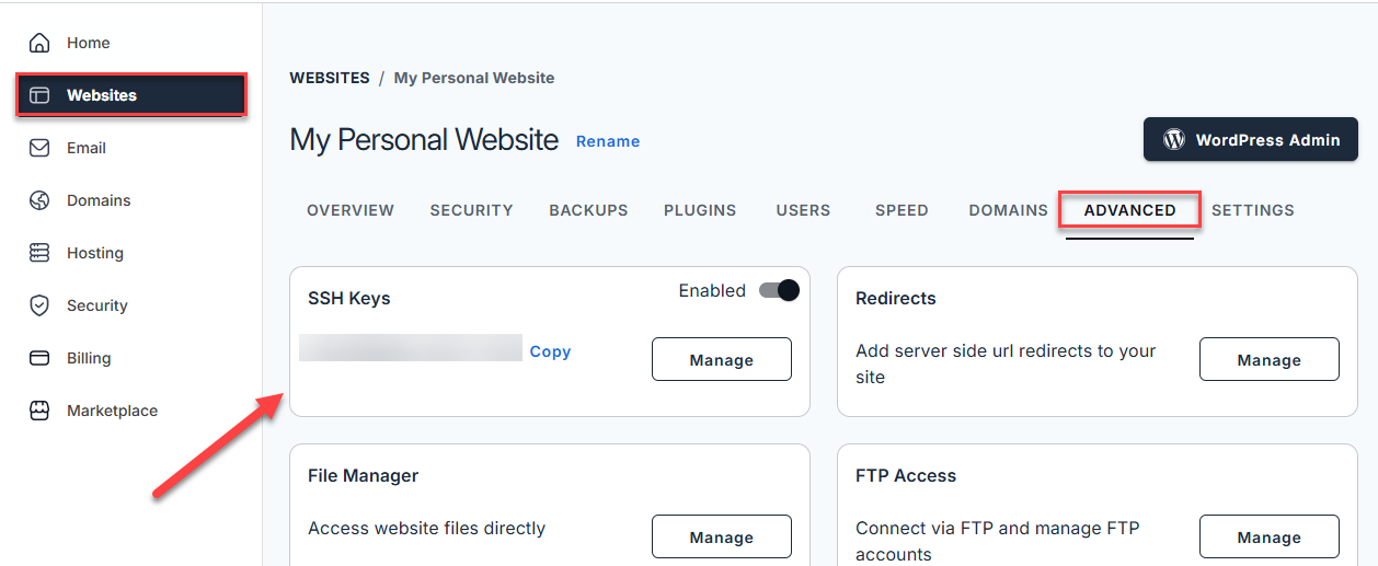 Websites tab, Advanced tab, and SSH Keys tile with toggle switch to enable SSH